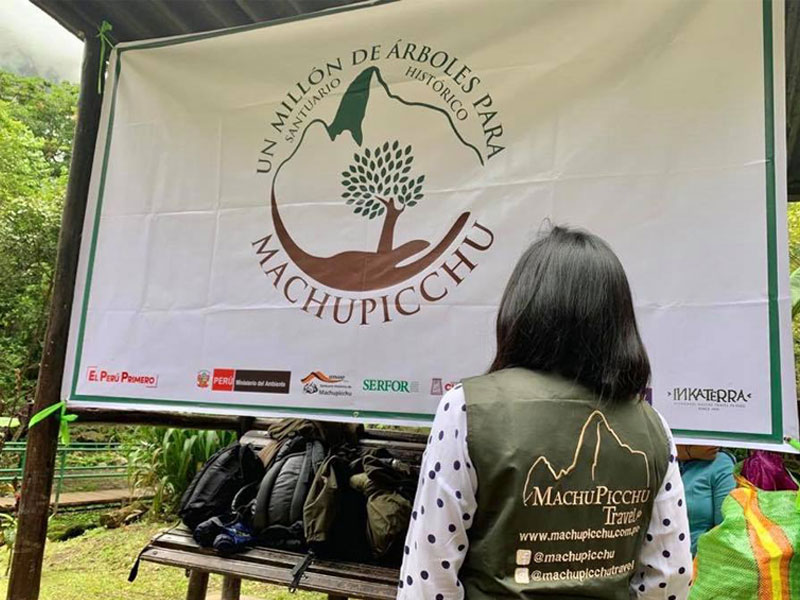 Millón de árboles en Machu picchu Travel